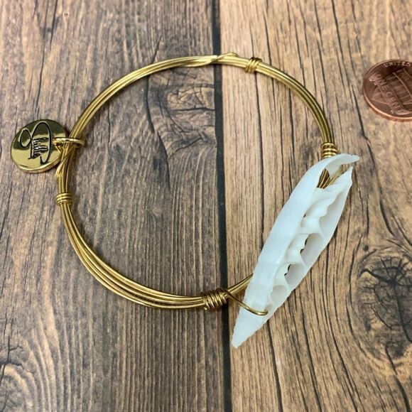 Shellie Shell Wire Wrap Bracelet‎ - Picture 2 of 3